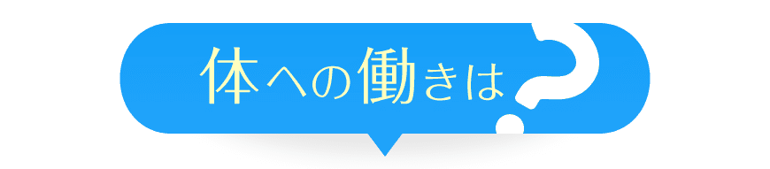 体への働きは