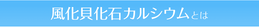 風化貝化石カルシウムとは